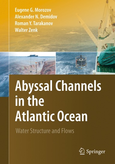 bokomslag Abyssal Channels in the Atlantic Ocean