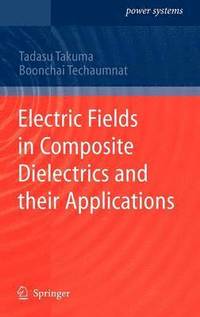 bokomslag Electric Fields in Composite Dielectrics and their Applications