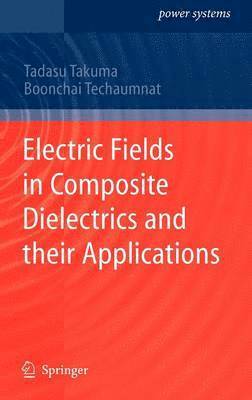 Electric Fields in Composite Dielectrics and their Applications 1