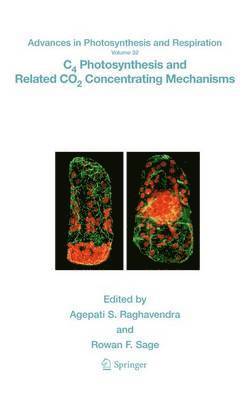 bokomslag C4 Photosynthesis and Related CO2 Concentrating Mechanisms