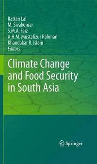 bokomslag Climate Change and Food Security in South Asia