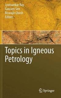 bokomslag Topics in Igneous Petrology