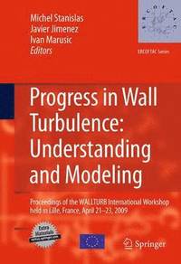 bokomslag Progress in Wall Turbulence: Understanding and Modeling