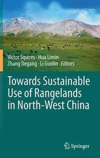 bokomslag Towards Sustainable Use of Rangelands in North-West China