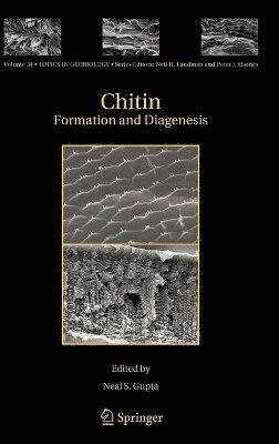 Chitin 1