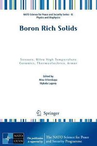 bokomslag Boron Rich Solids