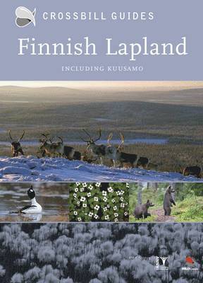 bokomslag Finnish Lapland Including Kuusamo