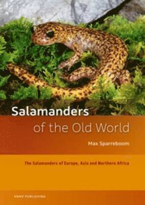 Max Sparreboom - Salamanders of the Old World, Inbunden
