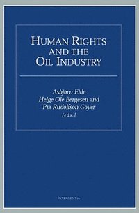 bokomslag Human Rights and the Oil Industry