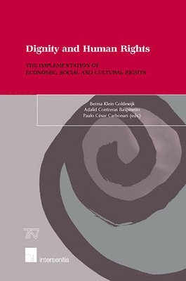 bokomslag Dignity and Human Rights