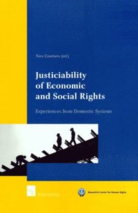 bokomslag Justiciability of Economic and Social Rights