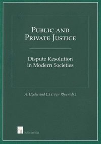 bokomslag Public and Private Justice