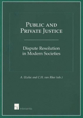 Public and Private Justice 1