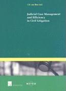 bokomslag Judicial Case Management and Efficiency in Civil Litigation