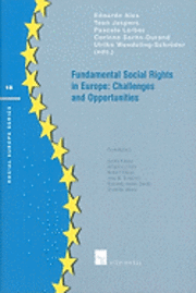 bokomslag Fundamental Social Rights in Europe: Challenges and Opportunities