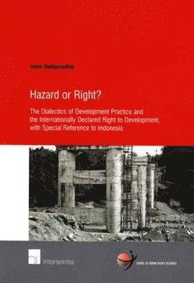 Irene Hadiprayitno - Hazard or Right?, Häftad