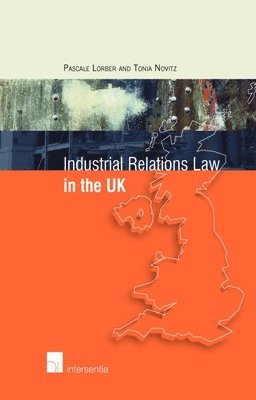 Pascale Lorber, Tonia Novitz - Industrial Relations Law in the UK, Häftad