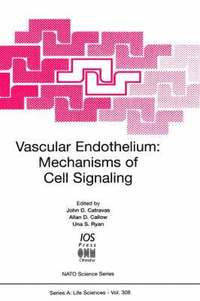 bokomslag Vascular Endothelium