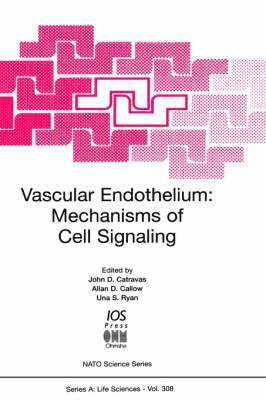Vascular Endothelium 1