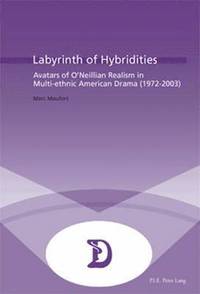 bokomslag Labyrinth of Hybridities