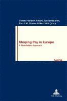 bokomslag Shaping Pay in Europe