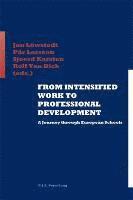 Jan Löwstedt, Pär Larsson, Jan Loewstedt, Paer Larsson, Sjoerd Karsten, Rolf Van Dick - From Intensified Work to Professional Development, Häftad