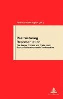 bokomslag Restructuring Representation: v.46