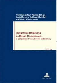 bokomslag Industrial Relations in Small Companies