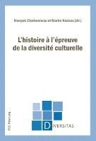 bokomslag L'Histoire A L'Epreuve De La Diversite Culturelle