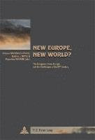 bokomslag New Europe, New World?