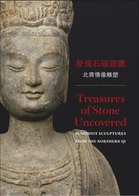 bokomslag Treasures of Stone Uncovered