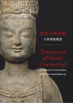 Treasures of Stone Uncovered 1