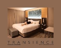 bokomslag Danielle L. Goldstein: Transience