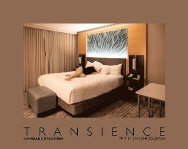 bokomslag Danielle L. Goldstein: Transience