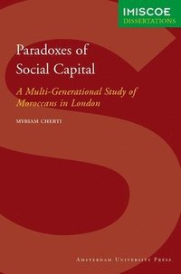 bokomslag Paradoxes of Social Capital