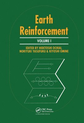 bokomslag Earth reinforcement practice, volume 2