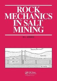 bokomslag Rock Mechanics in Salt Mining
