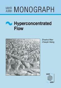 bokomslag Hyperconcentrated Flow