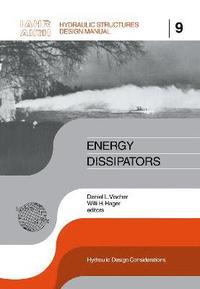 bokomslag Energy Dissipators