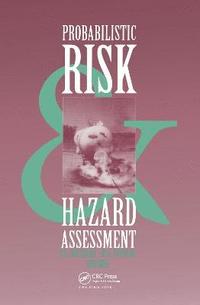 bokomslag Probabilistic Risk and Hazard Assessment