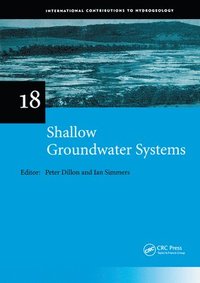 bokomslag Shallow Groundwater Systems