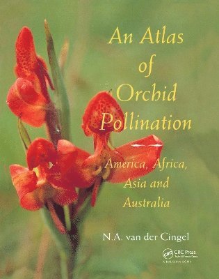 bokomslag Atlas of Orchid Pollination