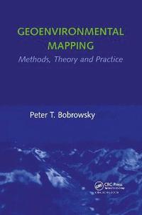bokomslag Geoenvironmental Mapping: Methods,Theory and Practice