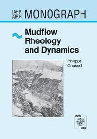 bokomslag Mudflow Rheology and Dynamics