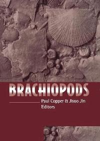 bokomslag Brachiopods