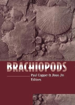 Brachiopods 1