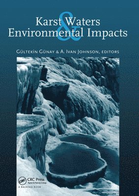 bokomslag Karst Waters and Environmental Impacts