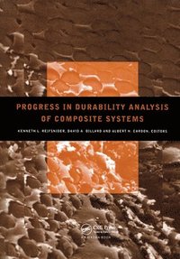 bokomslag Progress in Durability Analysis of Composite Systems