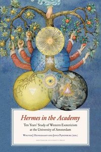 bokomslag Hermes in the Academy