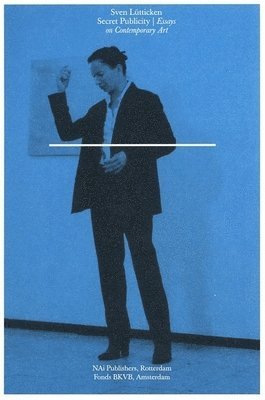 Secret Publicity: Essays on Contemporary Art, Häftad